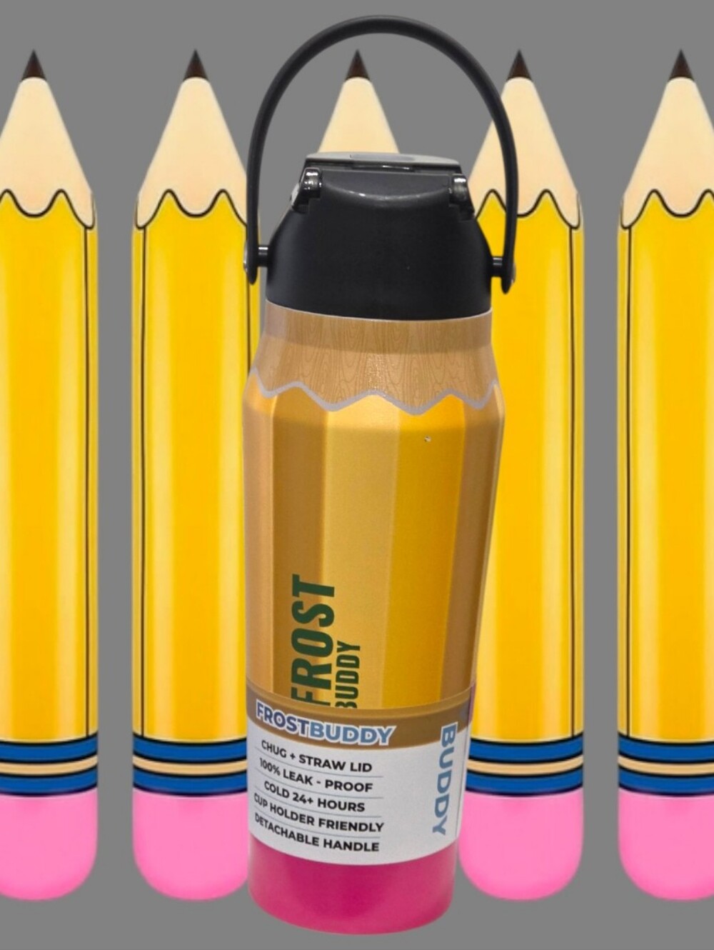 Frost Buddy 24 oz Pencil Design Insulated Water Bottle & Free Dr. Seuss Erasers.